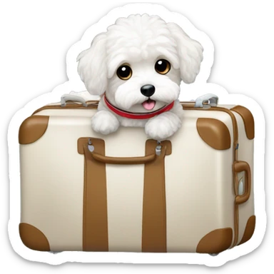 a cute maltipoo going to sea trip with a luggage sticker