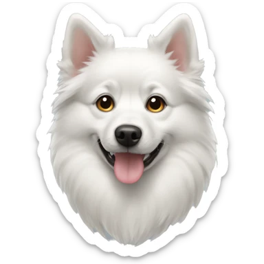 White dog pomsky sticker