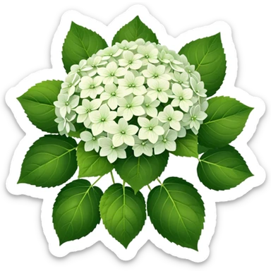 22 White Hortens sticker