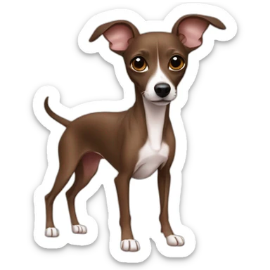 full body all brown no white italian greyhound chihuahua sticker