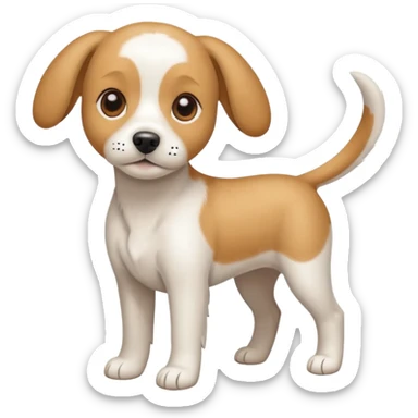 a full body white beagle x maltese x chi dog the size of a kelpie with light brown ears and a light brown patch on one eye sticker