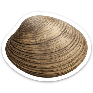 Clam sticker
