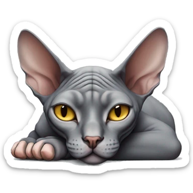 Dark grey sphynx cat sleeping  sticker