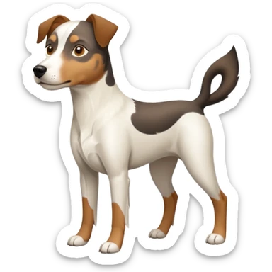 a full body large white parson russell looking dog the size of a kelpie with light brown flapped down ears and a light brown patch on one eye and a large snout sticker