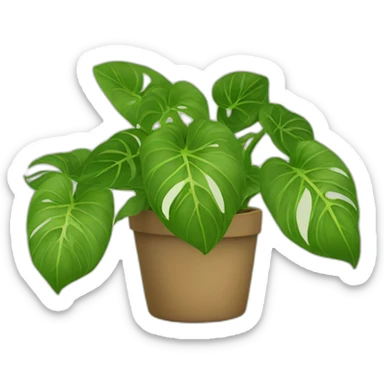 Golden pothos sticker