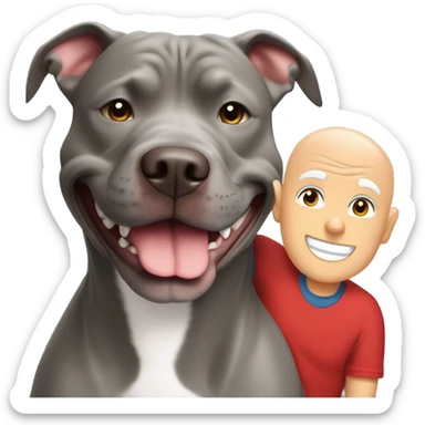 large gray male pit bull smiling and hugging bald white mature man no beard blue eyes with red tshirt sticker