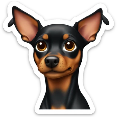 Miniature pinscher looking to the right  sticker