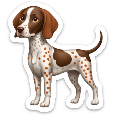 white and orange spotted german short haired pointer no tail sticker