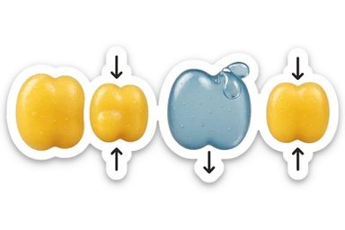 il processo di una cellula adiposa che si sgonfia, e si gonfia di acqua, falla identica all'immagine che ho allegato ma in 3d iperrealistica 4k sticker