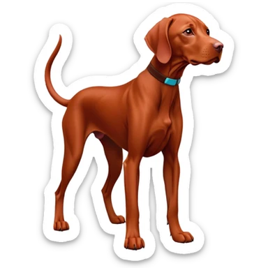 cinematic-[Vizsla-realistic-full-body-standing-emoji,-tail-resting-loosely-beside-its-paws,-head-tilted-dramatically, -sleek-[red]-fur,-simplified-yet-realistic-focused-features,-highly-detailed,-glowing-with-an-almost-sarcastic-glow sticker