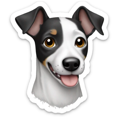 Black and white and grey jack russel rat terrier sticker