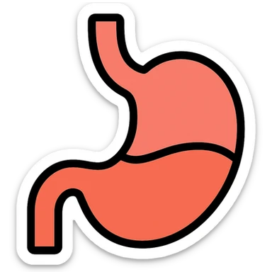 medical illustration of an empty stomach icon with color outline sticker