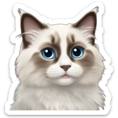 colorpointe ragdoll kitten sticker