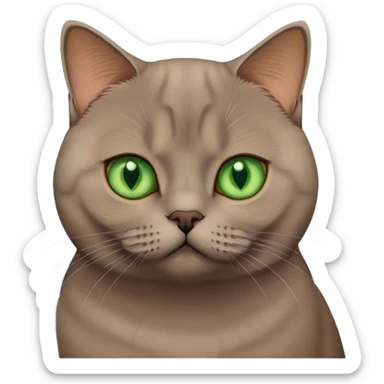 Brown british shorthair cat with Green eyes sticker