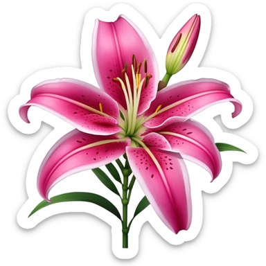 single Deep Pink Oriental Lily with White Edge, straight stem sticker