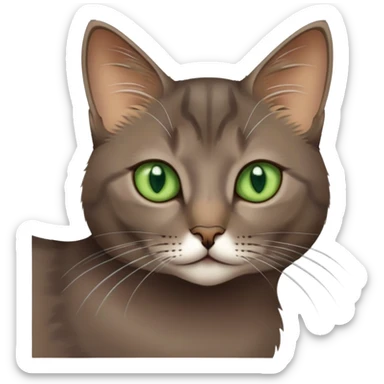 brownish gray cat with green eyes close together sticker