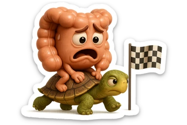  EMOJI STILE IPHONE 3D DI UN INTESTINO CON ESPRESSIONE ANGOSCIATA CHE CAMMINA SEDUTO IN GROPPA SUL GUSCIO DI UNA TARTARUGA IN ATTESA ESTENUANTE DI RAGGIUNGERE UN TRAGUARDO POCO PIù AVANTI, SULLA LORO DESTRA. IL TRAGUARDO è UNA BANDIERA A DUE PIEDI CON FASCIA A SCACCHI BIANCHI E NERI. iperrealistico 4k sticker