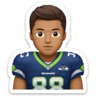 NFL Seahawks sticker