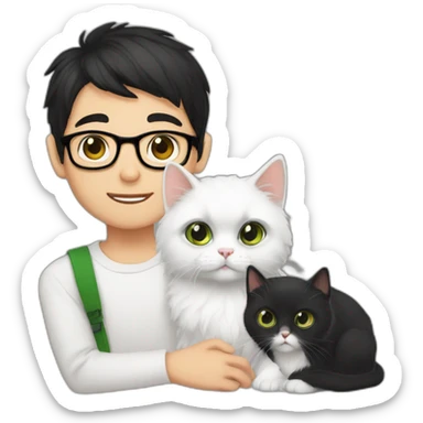 Boy with green eyes, black short hair, white skin, with glasses, hold Persian cat orange sticker