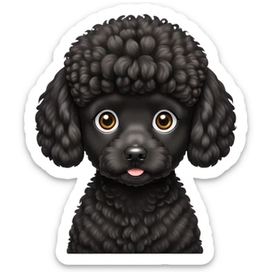 black Miniature poodle  sticker
