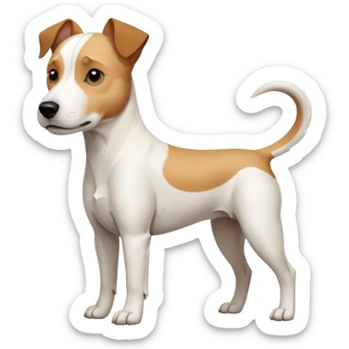 a full body facing front on of a buff white parson russell terrier looking dog the size of a kelpie with light brown long ears resting on its face and a light brown patch above one eye and a large snout. the rest of the dog is completely white.  sticker