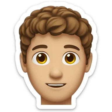 Brown hair long face male teen sticker