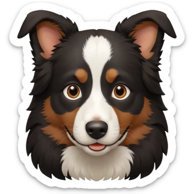border collie predominantly black fur with brown on the eyebrows and neck, no white fur sticker