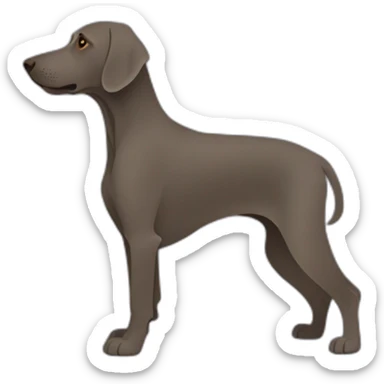 weimaraner silhouet sticker