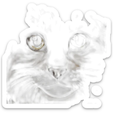 a mainecoon cat sticker