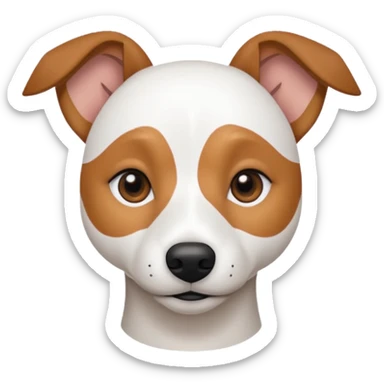 a fully white jack russell the size of a kelpie with light brown ears and a light brown patch on one eye sticker