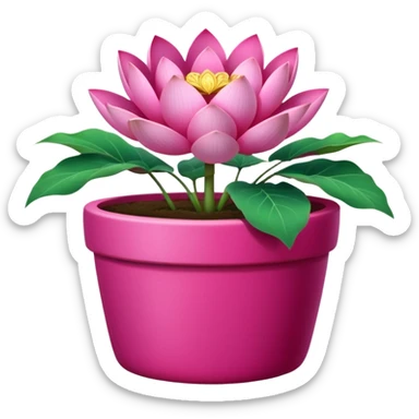 Decorative fuchsia-colored flower pot with a lotus flower plant; the pot is shallow sticker