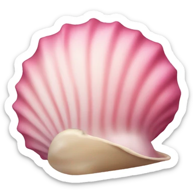Pink shell sticker