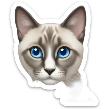 Siamois blue eyes sticker