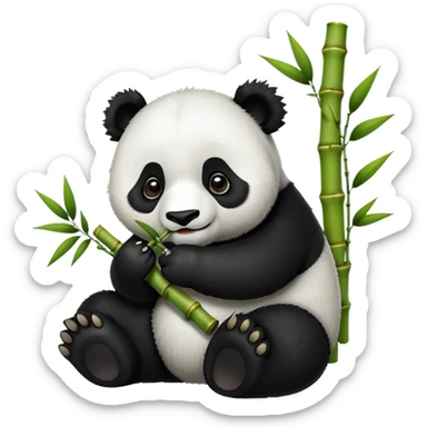 I won't a panda with bambu sticker
