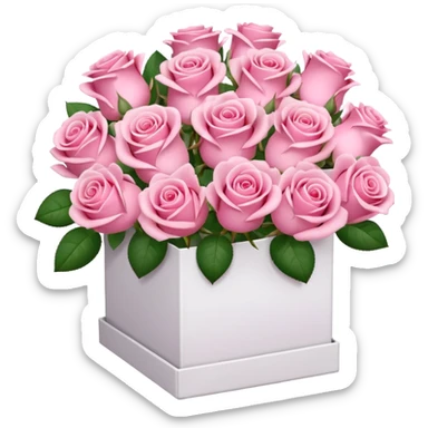 bouquet of pink 30 roses in a white box，no sticker