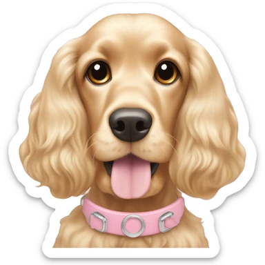 Blond cocker spaniel wearing two light pink sleighbell sticker