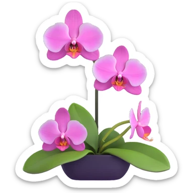 Elegant phalaenopsis moth orchid with detailed white and pink petals and green stem sticker