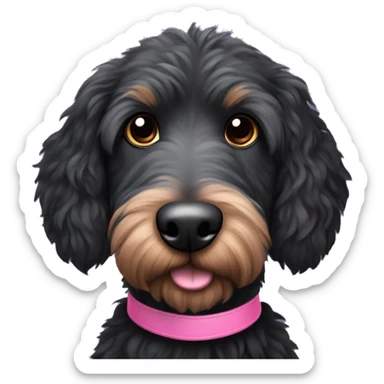 Scruffy black Australian doodle dog with pink collar and brown eyes and long black eyelashes  sticker