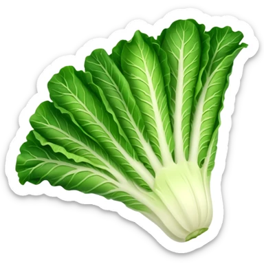 Romaine salad with no tomatoes sticker