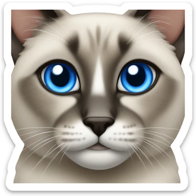 Siamois with blue eyes sticker