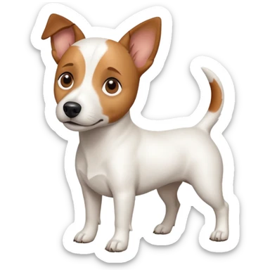 a full body white jack russel looking dog the size of a kelpie with light brown ears and a light brown patch on one eye and a large snout sticker