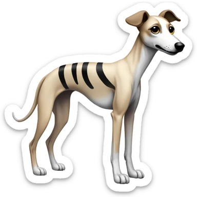 a beige with stripes whippet full body his The tip of the tail white colour and his left foot white color up up and a leash going out of frame, with a dark snout, black and white mouth patchy and black angel wing like eyes sticker