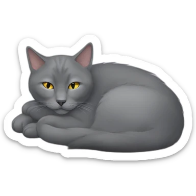 fluffy grey korat breed cat sleeping female sticker