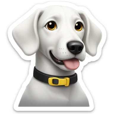Black and white dog with one slightly floppy ear, and one year higher. She has a yellow collar with a round tag. Her mouth is closed. sticker