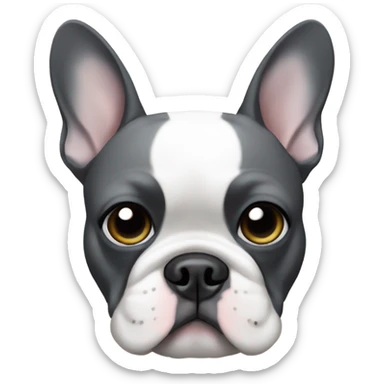 Dark grey and white French bulldog with left side of face grey and right side white but with a grey patch around right eye sticker