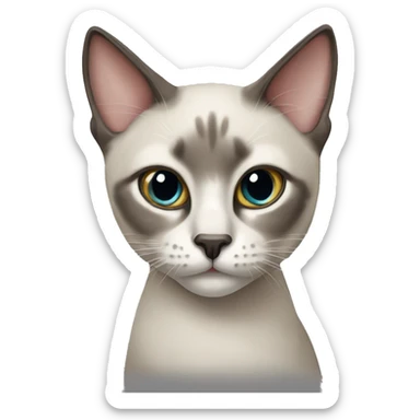 Siamois cat  sticker