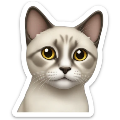 Chat siamois   sticker