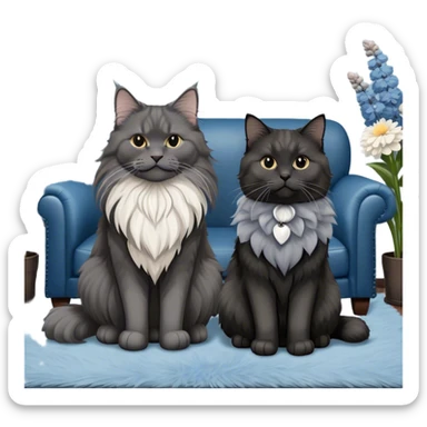 A large black smoke Maine Coon cat with long grey ear tufts and a fluffy grey ruff, sitting next to a chubby British Shorthair cat in blue color with plush fur, both sitting comfortably on a leather sofa. Beautiful room background with flowers and soft lighting. Transparent background. sticker