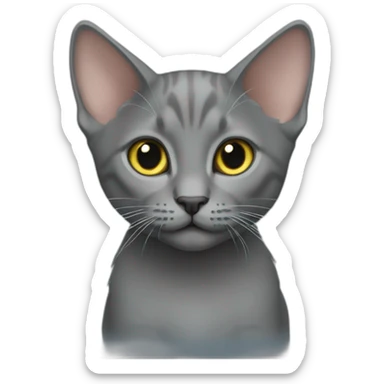 Korat kitten sticker