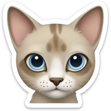 Thai breed cat with a light cream -brown body, dark gray-brown face, ears, and paws. Short fur, sharp ears, striking light blue eyes  sticker
